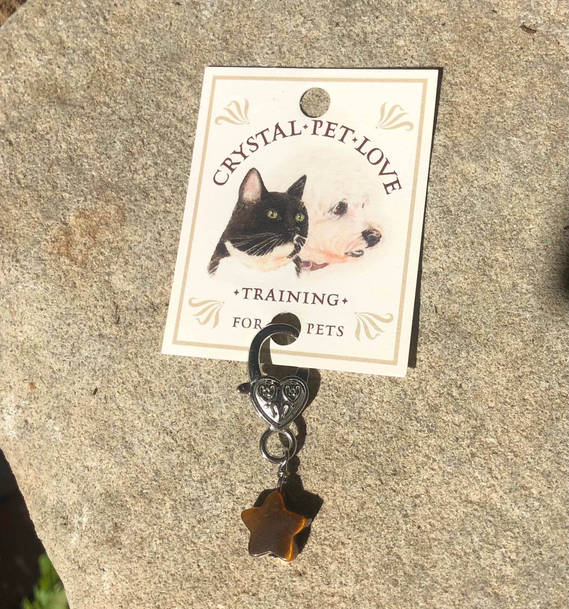 Tiger's Eye Star Pet Pendant for Holistic Crystal Support