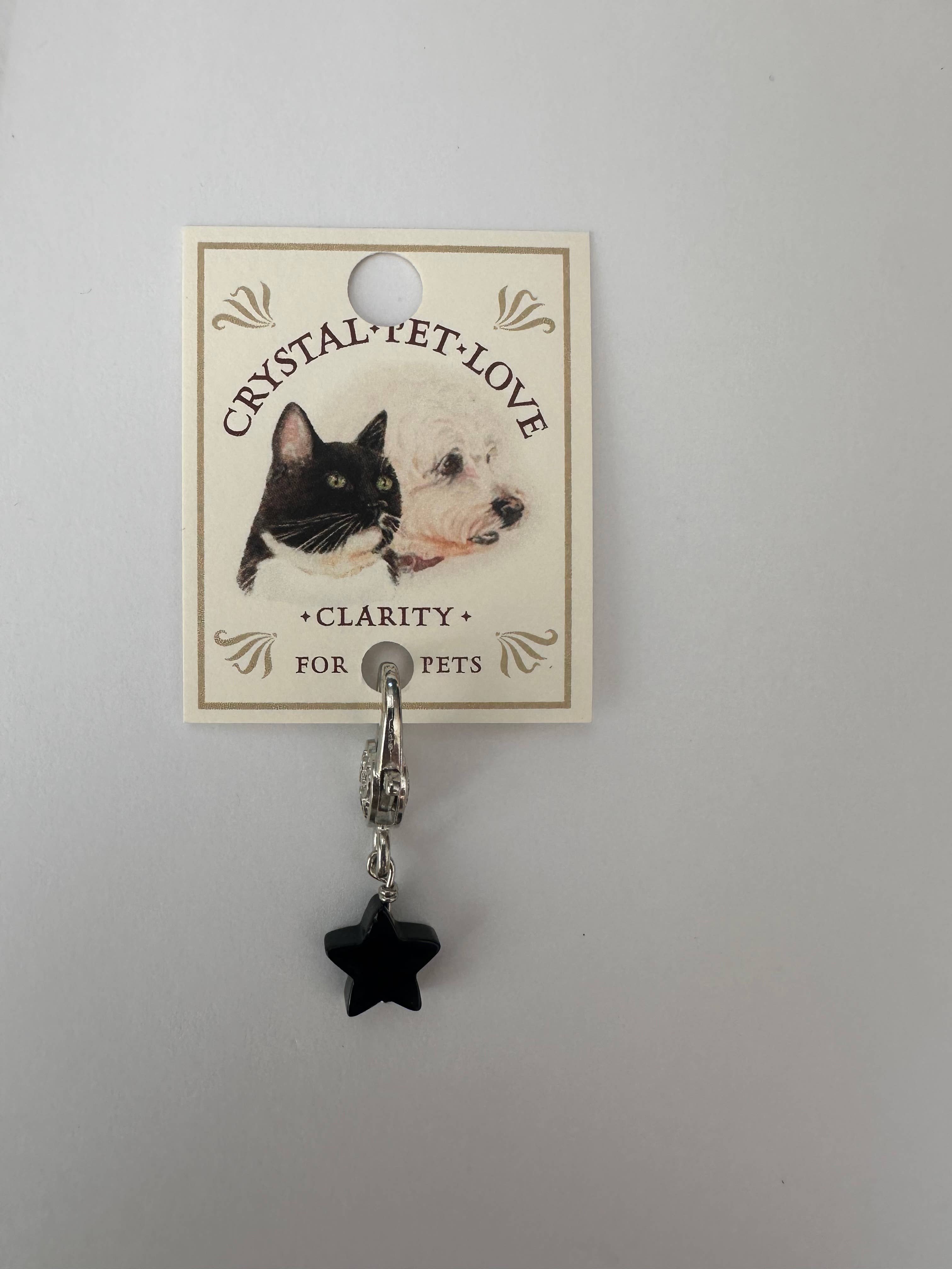 Black Obsidian Star Crystal Pet Pendant Halloween Love