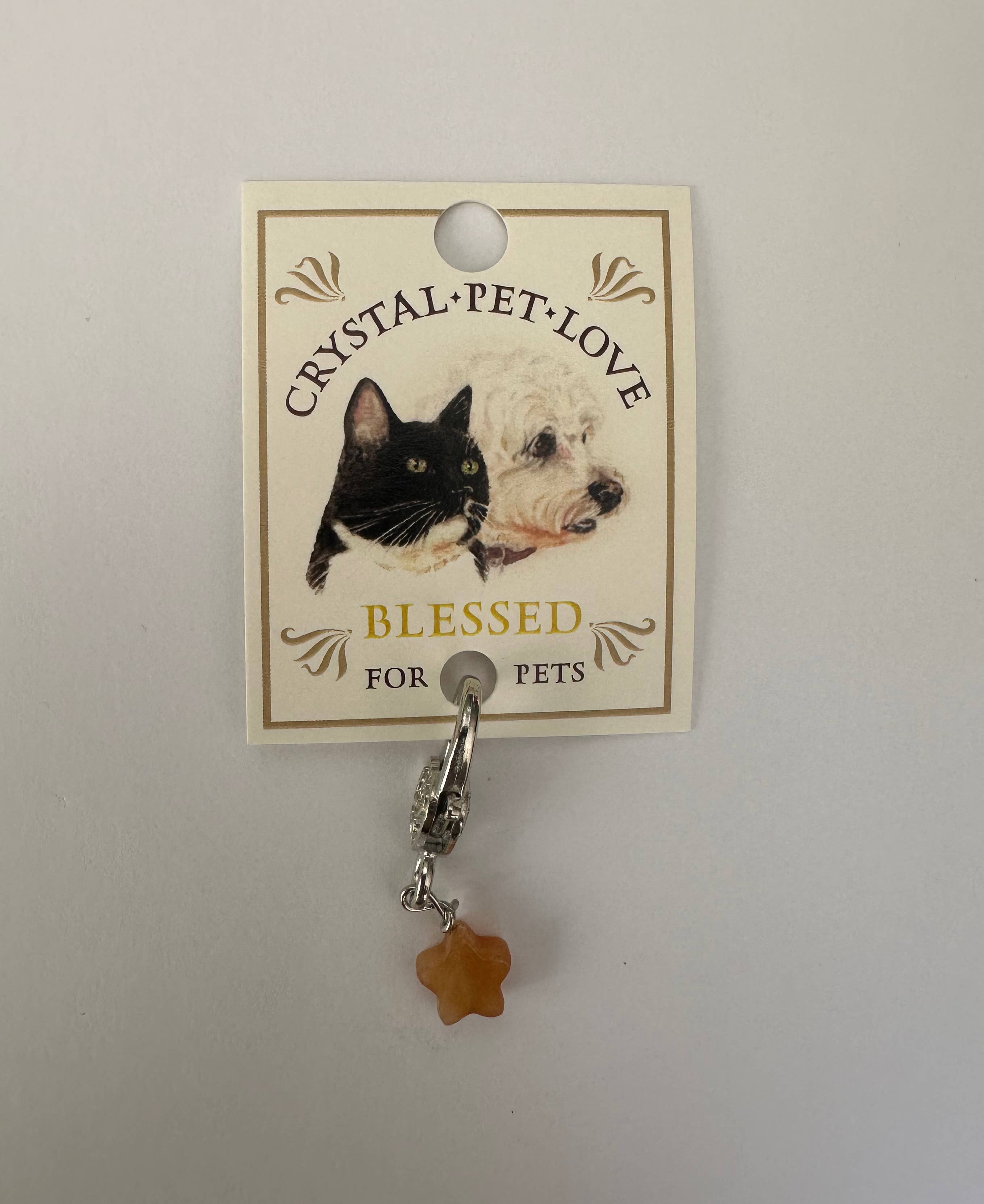 Citrine Blessings Pet Pendant Star Holistic Crystal Support